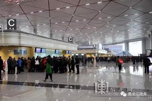 哈尔滨机场最新爆料,揭秘神秘扩建计划与未来展望  第1张 哈尔滨机场最新爆料,揭秘神秘扩建计划与未来展望  第1张