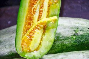 网红娱乐吃瓜,吃瓜群众的热议焦点  第2张 网红娱乐吃瓜,吃瓜群众的热议焦点  第2张