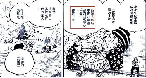 航海王白胡子最新爆料,航海王世界新篇章即将开启!