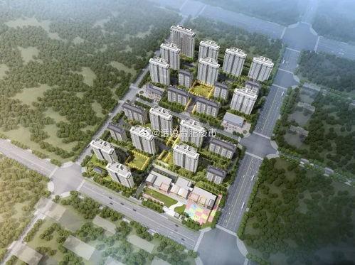 祥生爆料最新消息,揭秘娱乐圈惊人内幕  第1张 祥生爆料最新消息,揭秘娱乐圈惊人内幕  第1张