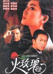 电视剧火玫瑰在线观看,激情燃烧的岁月,在线重温经典剧集