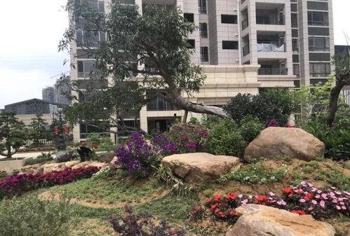 联兴花园事件爆料回应视频,真相与争议的交锋  第2张 联兴花园事件爆料回应视频,真相与争议的交锋  第2张