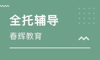 石家庄托管爆料事件最新,揭秘校园安全隐患与家长焦虑  第2张 石家庄托管爆料事件最新,揭秘校园安全隐患与家长焦虑  第2张