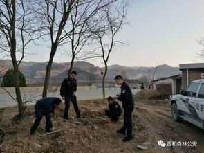 甘肃西和县爆料事件最新,揭开乡村乱象背后的真相  第2张 甘肃西和县爆料事件最新,揭开乡村乱象背后的真相  第2张