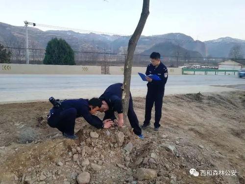 甘肃西和县爆料事件最新,揭开乡村乱象背后的真相  第3张 甘肃西和县爆料事件最新,揭开乡村乱象背后的真相  第3张