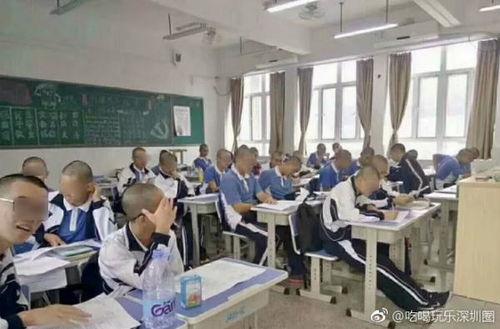 普宁职校爆料新闻视频,揭秘校园内幕  第3张 普宁职校爆料新闻视频,揭秘校园内幕  第3张